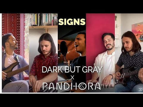Dark but Gray, Pandhora - Signs (Live Take)