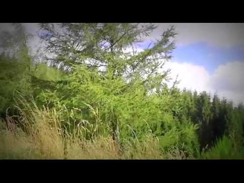 Cazare Targoviste - Cazat.ro