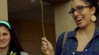 Valentine's Day Special 'Experiment' (Part II)