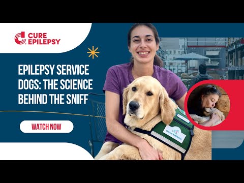 Epilepsy Service Dogs: The Science Behind the Sniff