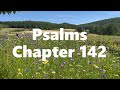 The Book of Psalms Chapter 142 - Contemporary English Version (CEV) - Audio Bible