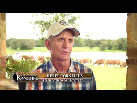 The American Rancher featuring Heartbrand Beef
