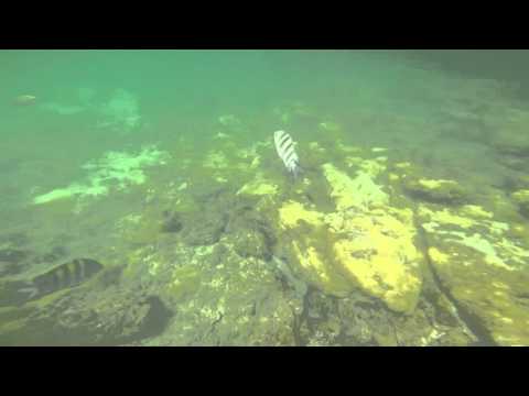 Encuentro con Morena - Buzios