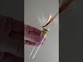 THE TEST FOR CARBON DIOXIDE Quick Science Demonstrations