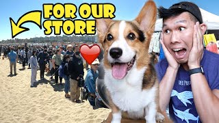 Thousands Came to Our Pop-Up Shop at Corgi Con! || Life After College: Ep. 739