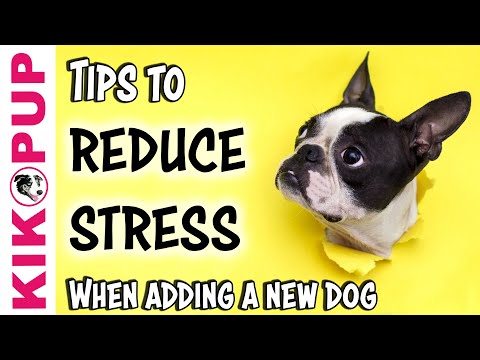 STOP UNWANTED behaviors with BACK UP