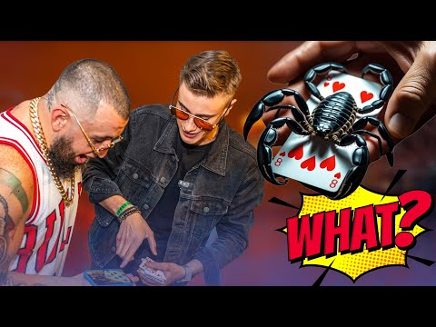 VARÁZSLAT a BB fesztiválon‼️✨|Bruno, Jaber|