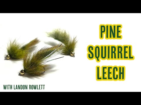 Pine Squirrel Leech - || FLY TYING TUTORIAL || - With Landon Rowlett