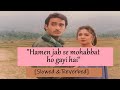 Hamen Jab Se Mohabbat Ho Gayi Hai - Slowed & Reverb | Sonu Nigam & Alka Yagnik | Border
