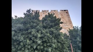 הסיפור הישראלי 212 - מדינה חזקה (הרב יצחק חי זאגא) - התמונה מוצגת ישירות מתוך אתר האינטרנט יוטיוב. זכויות היוצרים בתמונה שייכות ליוצרה. קישור קרדיט למקור התוכן נמצא בתוך דף הסרטון