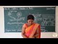 CLASS 7 SCIENCE CH 1 NUTRITION IN PLANTS PHOTOSYNTHESIS GURUKULAM ONLINE CLASSES