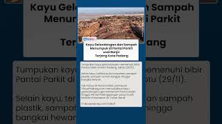 Kayu Gelondongan dan Sampah Menumpuk di Pantai Parkit seusai Banjir Terjang Kota Padang