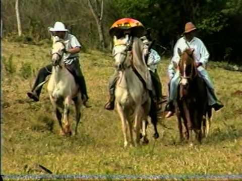 TERRA SEM LEI  PARTE 2/4 - CORBÉLIA - PR, 2000