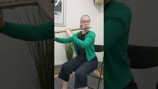 Trevor James Performers Copper Alto Flute