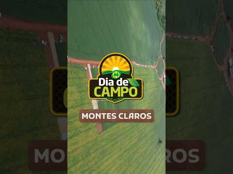 Dia de Campo 2026 - Montes Claros de Goiás