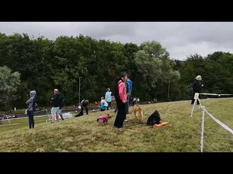 Sheffield Urban CX at Sheffield Olympic Legacy Park 31/7/22