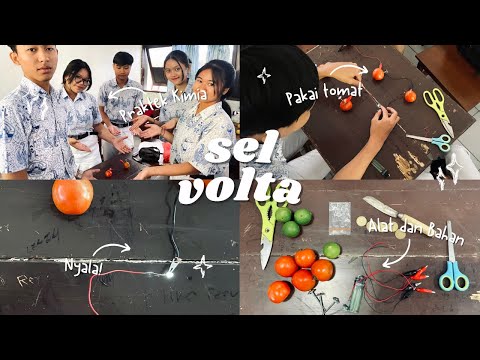 Praktikum Kimia ( Perumahan Energi Kimia Menjadi Energi Listrik)