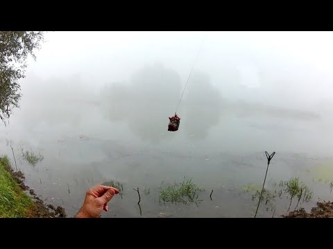 FIDER - BITNO  JE DA SE NESTO DESAVA - 4K