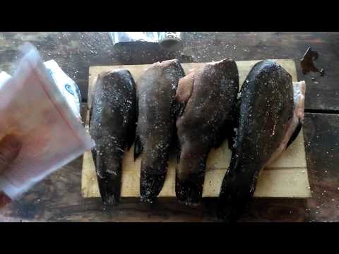 Как быстро и вкусно приготовить копченую рыбу. Линь горячего копчения