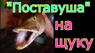 Как правильно поставить донку на щуку