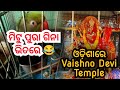 ମିଟୁ ଆମର ଗିନା ଭିତରେ😂 ii ଘରେ ଆଜି କେହି ନାହାନ୍ତି ଖାଇଲି କଣ❓ii nayagarh ରେ ନୂଆ baishno devi temple🙏