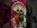 Om Namo Venkateshaya Om Namo Srinivasa Srivenkateshwarasuprabhatham Edukondalavada