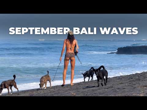 Canggu Long Edition – September Bali Surf
