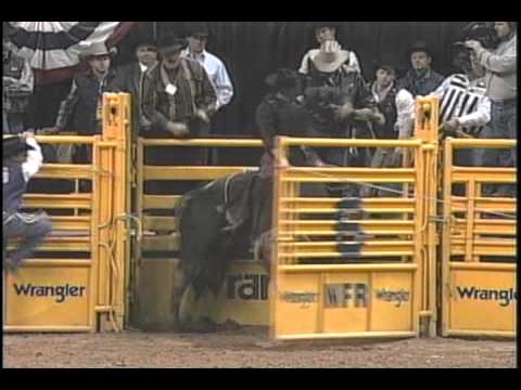 Watergate Bucking Bull