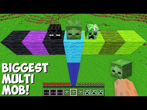 This is a SUPER SECRET WAY TO SPAWN MULTI MOB in Minecraft ! BIGGEST MOB !