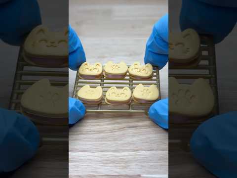Make Vanilla Kitty cookies with me using Make It Mini From Scratch 🥹
