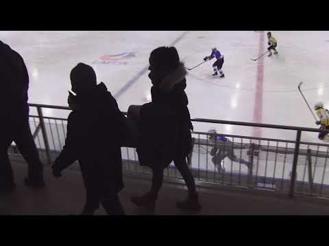 Virkiä- Pingviinit  -02