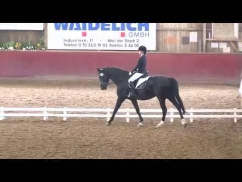 Weil der Stadt 2015 - Jana Schlotter - Sandro Boy - Dressurprf Kl. L*