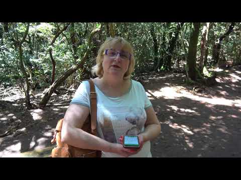 Отзыв об экскурсии с Константином Гавришенко от 16.04.2018