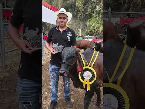 Día del Campesino destacó la labor ganadera de San Pablo