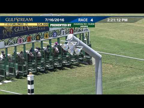 Gulfstream Park Replay Show | July 16, 2016