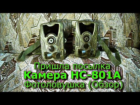 Пришла посылка с Алиэкспресс 2 Камеры HC-801A Фотоловушка Обзор.