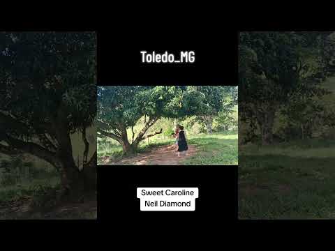 #toledo #mg #minasgerais #sweetcaroline #neildiamond