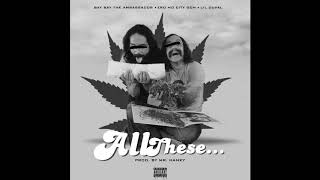 Hollyhood Bay Bay x Z Ro x Lil Duval - All These Drugs(Prod. By Mr. Hanky)