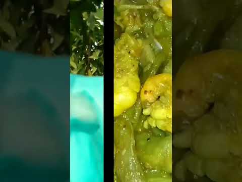 My garden and dinner menu #shorts #garden #dinner