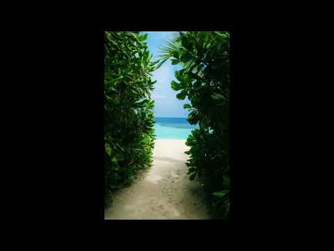 Bicep - Glue (Earth Intelligence Remix)