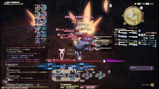 【FF14】身内で編成事故ゼーメル【H１D３・白視点】
