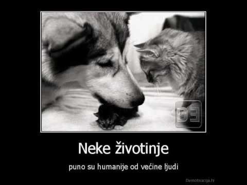 Shady i Sanya - Van Dometa ft. Pinki, Lexus