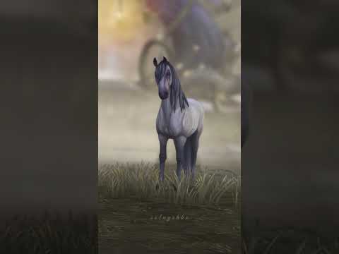 Sakura #sso #starstable #starstableonline #лошадки #horse #horsegame #onlinegame #лошади #gaming