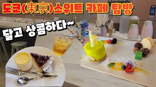일본 맛집 여행 Vlog│도쿄 스위트 카페 5곳 소개!!(케이크, 푸딩, 타르트, 젤리, 빙수) / Japan Sweet tour, mukbang   (東京スイーツグルメ)