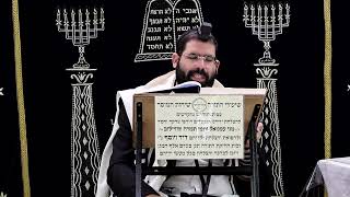 זבחים דף י"א ע''ב ¤ הרב נתנאל אברז'ל ¤ בית הכנסת "בית מרדכי" (מוסדות תורת דוד) - התמונה מוצגת ישירות מתוך אתר האינטרנט יוטיוב. זכויות היוצרים בתמונה שייכות ליוצרה. קישור קרדיט למקור התוכן נמצא בתוך דף הסרטון