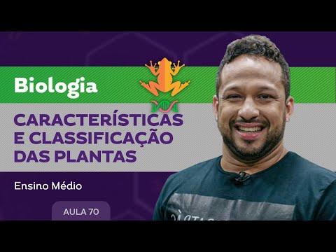 Características e classificação das plantas​ - Biologia - Ensino Médio