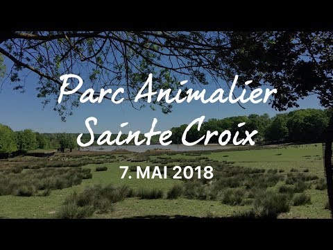 Parc Animalier Sainte Croix 08.05.2018