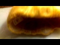 My Super Saiyan Wig
