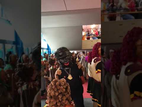 FZ der Narrenzunft Gole bei der Schülerbefreiung 2020 in Riedlingen