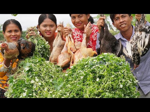 Cooking & Steaming Chicken With Fresh Natural Peperomia Pellucida Recipe - Yummy Chicken Recipe